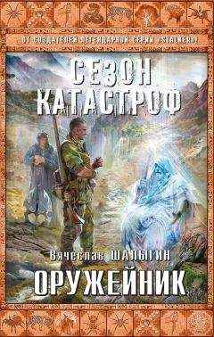 Читайте книги онлайн на Bookidrom.ru! Бесплатные книги в одном клике Вячеслав Шалыгин - Оружейник