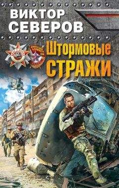 Читайте книги онлайн на Bookidrom.ru! Бесплатные книги в одном клике Виктор Северов - Штормовые стражи
