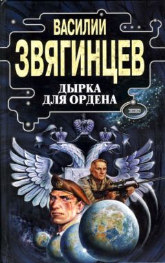 Читайте книги онлайн на Bookidrom.ru! Бесплатные книги в одном клике Василий Звягинцев - Дырка для ордена