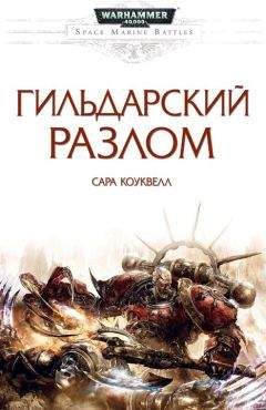 Читайте книги онлайн на Bookidrom.ru! Бесплатные книги в одном клике Сара Коуквелл - Гильдарский разлом