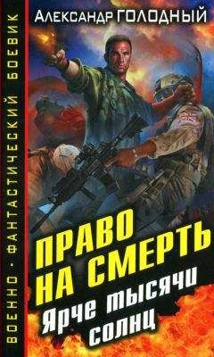 Читайте книги онлайн на Bookidrom.ru! Бесплатные книги в одном клике Александр Голодный - Ярче тысячи солнц