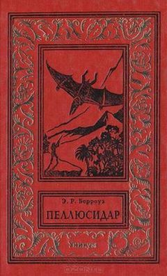 Читайте книги онлайн на Bookidrom.ru! Бесплатные книги в одном клике Эдгар Райс Берроуз - Пеллюсидар