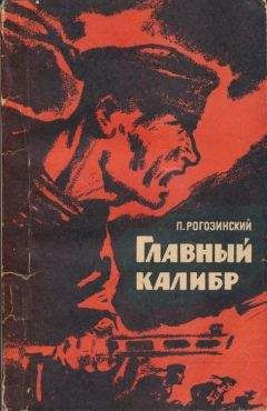 Читайте книги онлайн на Bookidrom.ru! Бесплатные книги в одном клике Павел Рогозинский - Главный калибр