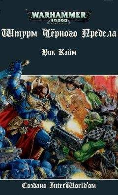 Читайте книги онлайн на Bookidrom.ru! Бесплатные книги в одном клике Ник Кайм - Штурм Черного Предела