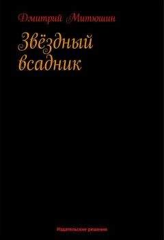 Читайте книги онлайн на Bookidrom.ru! Бесплатные книги в одном клике Дмитрий Митюшин - Звёздный всадник