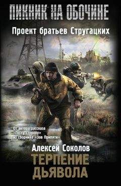 Читайте книги онлайн на Bookidrom.ru! Бесплатные книги в одном клике Алексей Соколов - Терпение дьявола