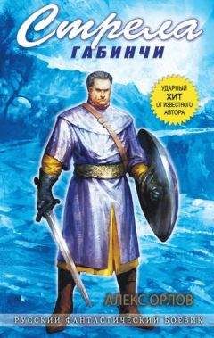 Читайте книги онлайн на Bookidrom.ru! Бесплатные книги в одном клике Алекс Орлов - Стрела Габинчи