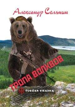 Читайте книги онлайн на Bookidrom.ru! Бесплатные книги в одном клике Александр Селянин - Тропа волхвов
