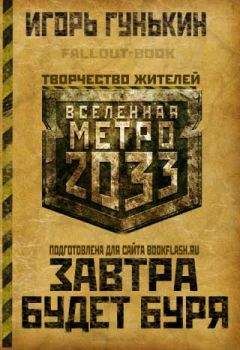 Читайте книги онлайн на Bookidrom.ru! Бесплатные книги в одном клике Игорь Гунькин - Завтра будет буря