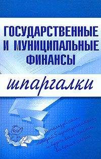 Мария Новикова - Государственные и муниципальные финансы