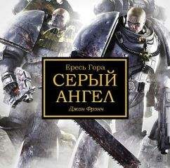 Читайте книги онлайн на Bookidrom.ru! Бесплатные книги в одном клике Джон Фрэнч - Серый Ангел