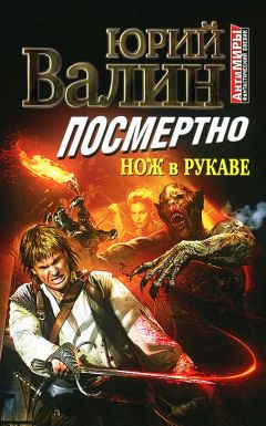 Читайте книги онлайн на Bookidrom.ru! Бесплатные книги в одном клике Юрий Валин - Посмертно. Нож в рукаве