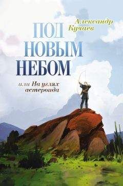 Александр Кучаев - Под новым небом, или На углях астероида