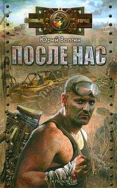 Читайте книги онлайн на Bookidrom.ru! Бесплатные книги в одном клике Юрий Волгин - После нас