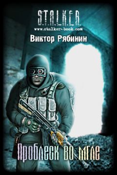 Читайте книги онлайн на Bookidrom.ru! Бесплатные книги в одном клике Виктор Рябинин - Проблеск во мгле