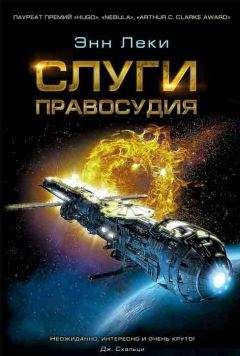 Читайте книги онлайн на Bookidrom.ru! Бесплатные книги в одном клике Энн Леки - Слуги правосудия