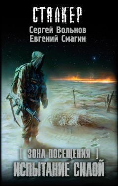 Читайте книги онлайн на Bookidrom.ru! Бесплатные книги в одном клике Евгений Смагин - Зона Посещения. Испытание силой