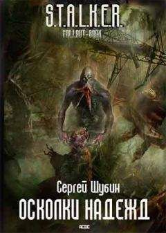 Читайте книги онлайн на Bookidrom.ru! Бесплатные книги в одном клике Сергей Шубин - Осколки надежд