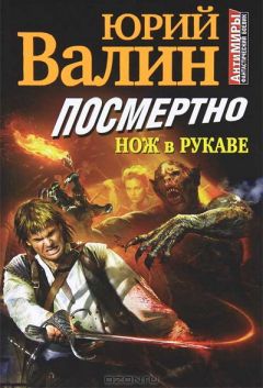 Читайте книги онлайн на Bookidrom.ru! Бесплатные книги в одном клике Юрий Валин - Посмертно. Нож в рукаве