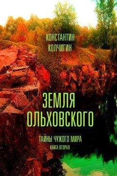 Читайте книги онлайн на Bookidrom.ru! Бесплатные книги в одном клике Константин Колчигин - Земля Ольховского. Тайны чужого мира. Kнига вторая