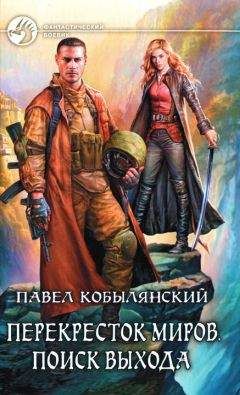 Читайте книги онлайн на Bookidrom.ru! Бесплатные книги в одном клике Павел Кобылянский - Поиск выхода