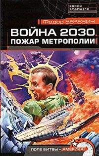 Читайте книги онлайн на Bookidrom.ru! Бесплатные книги в одном клике Федор Березин - Война 2030. Пожар Метрополии