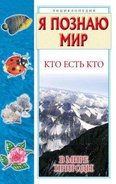 Галина Шалаева - Кто есть кто в мире природы