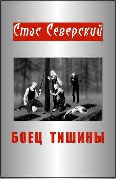 Читайте книги онлайн на Bookidrom.ru! Бесплатные книги в одном клике Стас Северский - Боец тишины