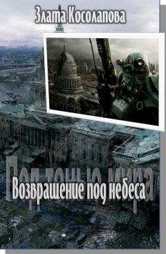 Читайте книги онлайн на Bookidrom.ru! Бесплатные книги в одном клике Злата Косолапова - Возвращение под небеса