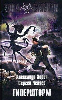 Читайте книги онлайн на Bookidrom.ru! Бесплатные книги в одном клике Александр Зорич - Гипершторм