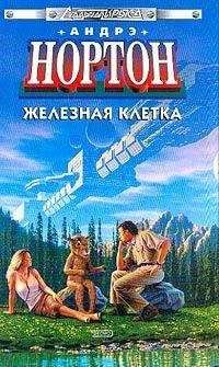 Читайте книги онлайн на Bookidrom.ru! Бесплатные книги в одном клике Андрэ Нортон - Железная клетка