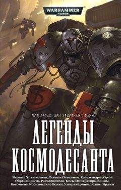 Читайте книги онлайн на Bookidrom.ru! Бесплатные книги в одном клике Ник Ким - Легенды Космодесанта