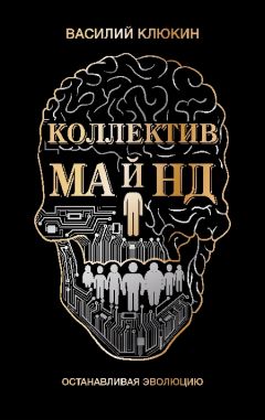 Читайте книги онлайн на Bookidrom.ru! Бесплатные книги в одном клике Василий Клюкин - Коллектив Майнд