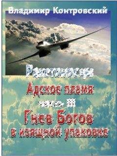 Читайте книги онлайн на Bookidrom.ru! Бесплатные книги в одном клике Владимир Контровский - Гнев Богов в изящной упаковке