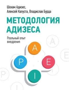 Анна Власова - Методология Адизеса. Реальный опыт внедрения