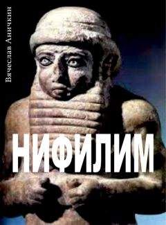 Читайте книги онлайн на Bookidrom.ru! Бесплатные книги в одном клике Вячеслав Аничкин - Нифилим