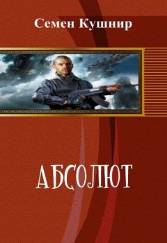 Читайте книги онлайн на Bookidrom.ru! Бесплатные книги в одном клике Семён Кушнир - Абсолют (СИ)