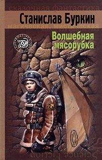 Читайте книги онлайн на Bookidrom.ru! Бесплатные книги в одном клике Станислав Буркин - Волшебная мясорубка