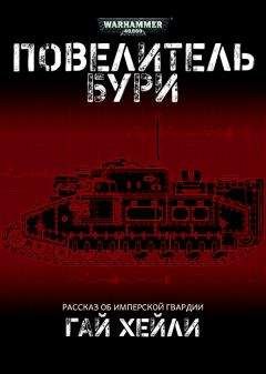 Читайте книги онлайн на Bookidrom.ru! Бесплатные книги в одном клике Гай Хейли - Повелитель бури