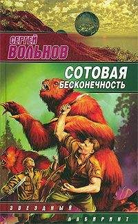 Читайте книги онлайн на Bookidrom.ru! Бесплатные книги в одном клике Сергей Вольнов - Сотовая бесконечность