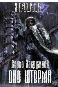 Читайте книги онлайн на Bookidrom.ru! Бесплатные книги в одном клике Денис Закружной - Око шторма