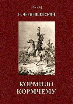 Читайте книги онлайн на Bookidrom.ru! Бесплатные книги в одном клике Николай Чернышевский - Комило кормчему