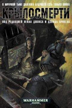 Читайте книги онлайн на Bookidrom.ru! Бесплатные книги в одном клике Брайан Анселл - Крыло смерти