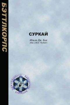 Читайте книги онлайн на Bookidrom.ru! Бесплатные книги в одном клике Ильза Бик - Суркай