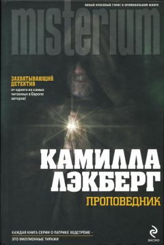 Читайте книги онлайн на Bookidrom.ru! Бесплатные книги в одном клике Дрю Карпишин - Восхождение