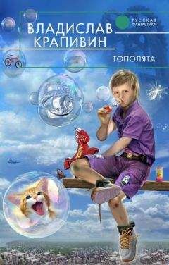 Читайте книги онлайн на Bookidrom.ru! Бесплатные книги в одном клике Владислав Крапивин - Тополята