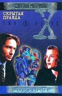 Читайте книги онлайн на Bookidrom.ru! Бесплатные книги в одном клике Александр Прозоров - Незаконный эмигрант