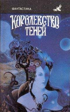 Читайте книги онлайн на Bookidrom.ru! Бесплатные книги в одном клике Александр Бушков - Королевство теней (сборник)