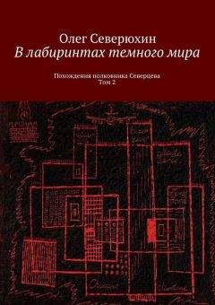 Читайте книги онлайн на Bookidrom.ru! Бесплатные книги в одном клике Олег Северюхин - В лабиринтах тёмного мира. Том 2