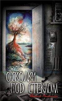 Читайте книги онлайн на Bookidrom.ru! Бесплатные книги в одном клике Евгения Мелемина - Осколки под стеклом